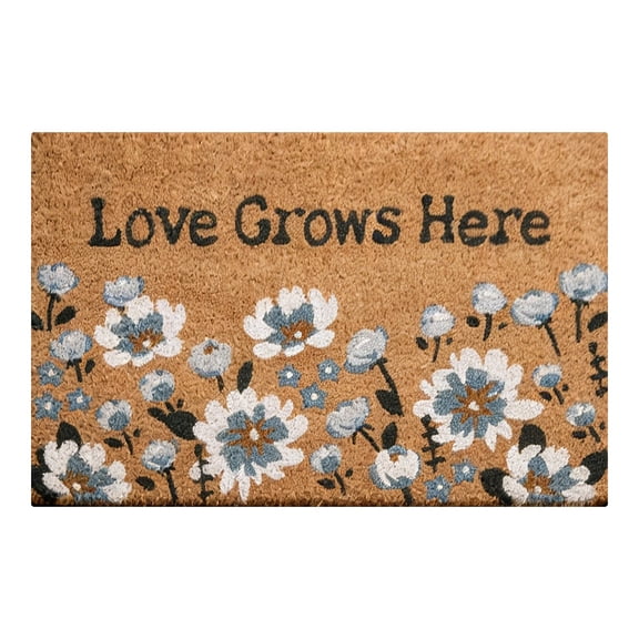 WUXICHEN Summer Carnival Doormat, 16x24 inch Non-Slip Entrance Mat, Water Absorbing Bathroom Rug for Kitchen or Entryway, Festive Home Decor