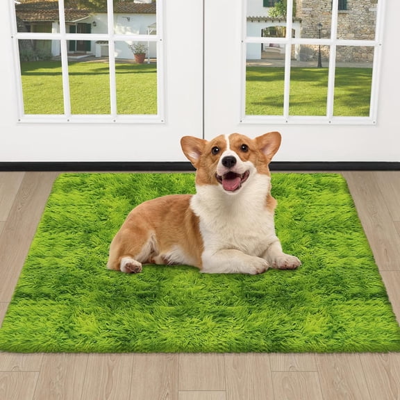 WUYIBA-Soft Fluffy Tie Dyed Grass Green Shag Rug 2x3 Small Green Area Rug Carpet for Bedroom Door Entryway Indoor Inside Front Entrance Green Mat Non Slip, Home Decor Aesthetic, Nursery