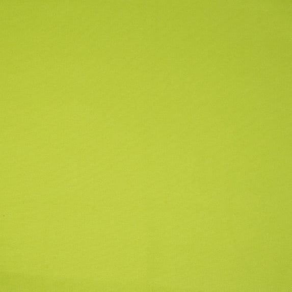 Waverly Inspirations 2 Yard Precut 100% Cotton Duck Fabric Spring Green 45" Wide for Quilting & Sewing