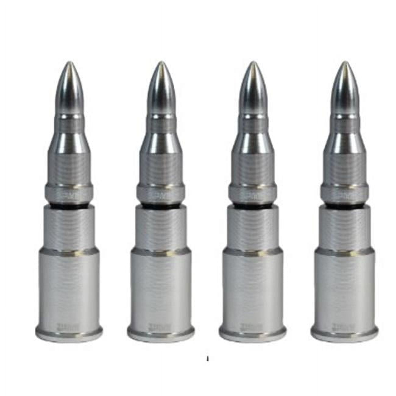 WVC005SL Wheel Valve Stem & Cap Kit, Silver