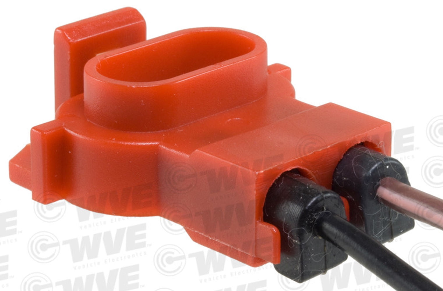 WVE 1P1393 Fuel Pump Relay Connector