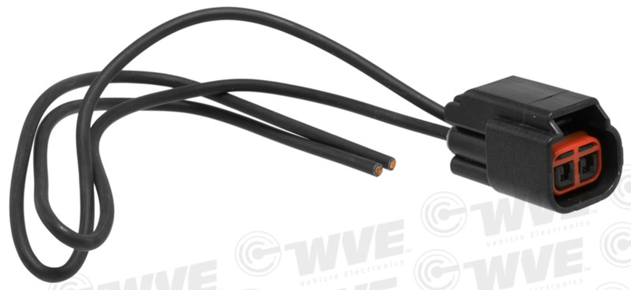 WVE 1P1483 License Plate Light Connector