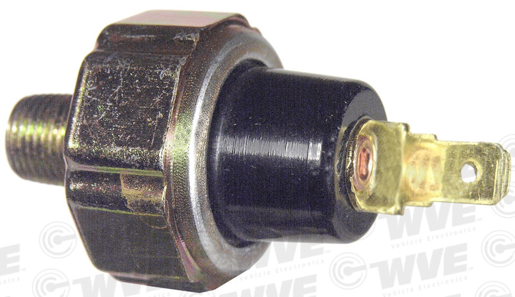 WVE 1S6641 Engine Oil Pressure Switch