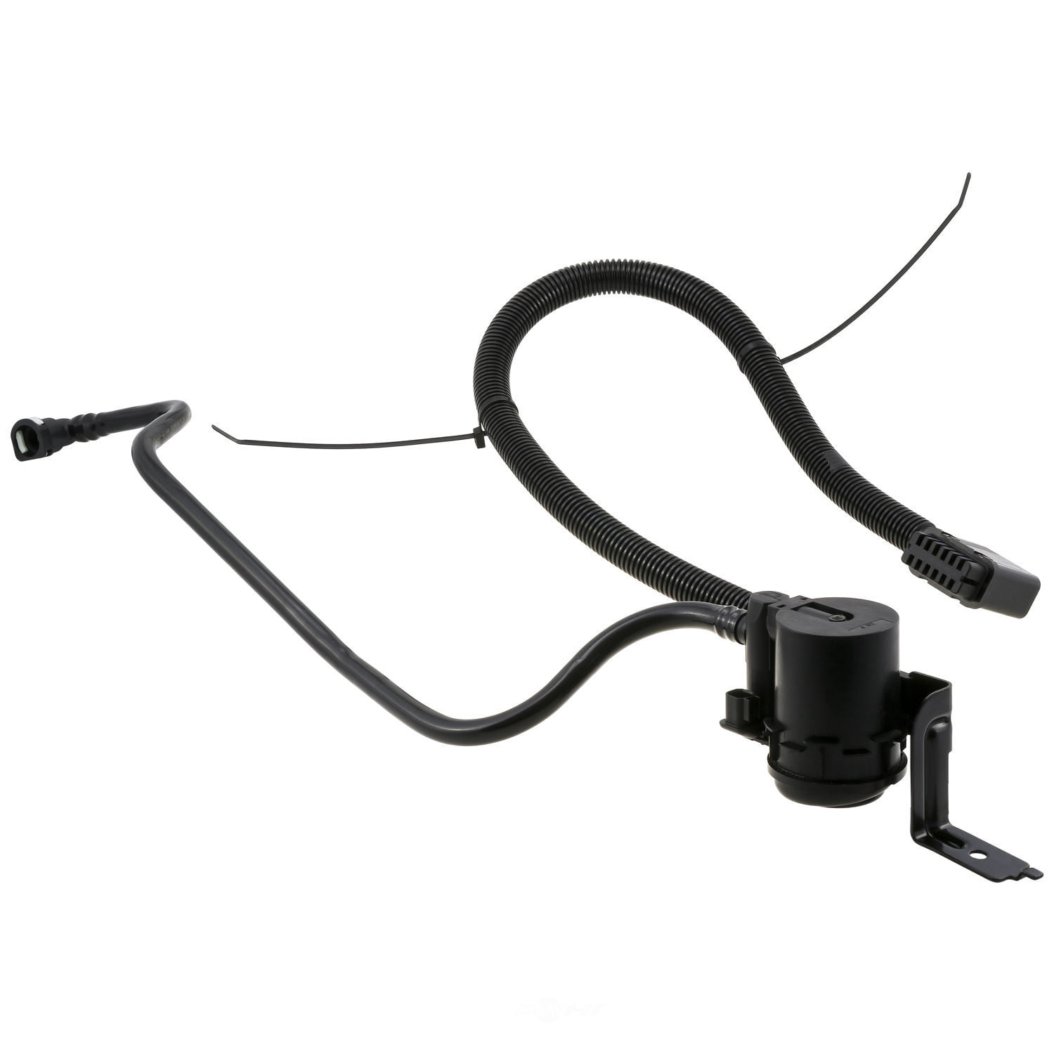 WVE 2M1737 Vapor Canister Vent Solenoid