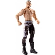 WWE Aiden English Action Figure