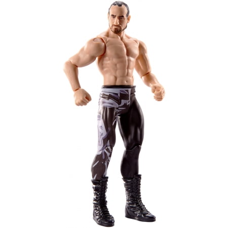 WWE Aiden English Action Figure