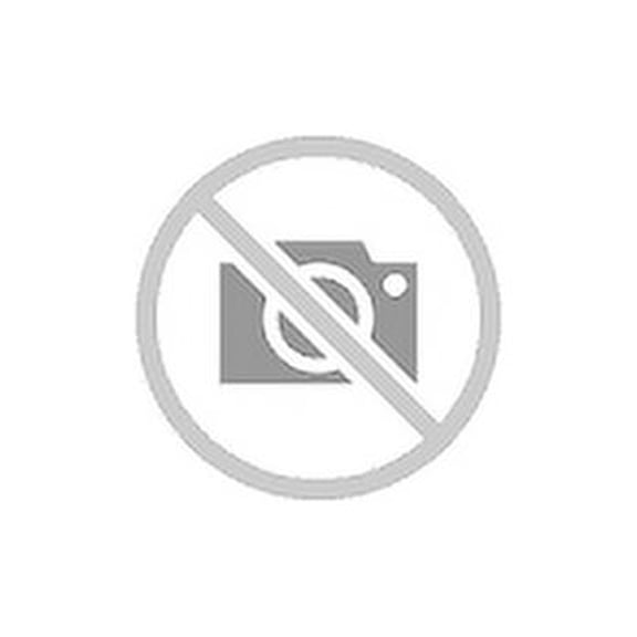 WWE Chyna Vs Trish Stratus Championship Showdown 2-Pack Action Figures