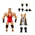 thumbnail image 1 of WWE Superstars Rob Van Dam Action Figure & Accessories Set, Series 16 Retro 6-inch Collectible, 1 of 6