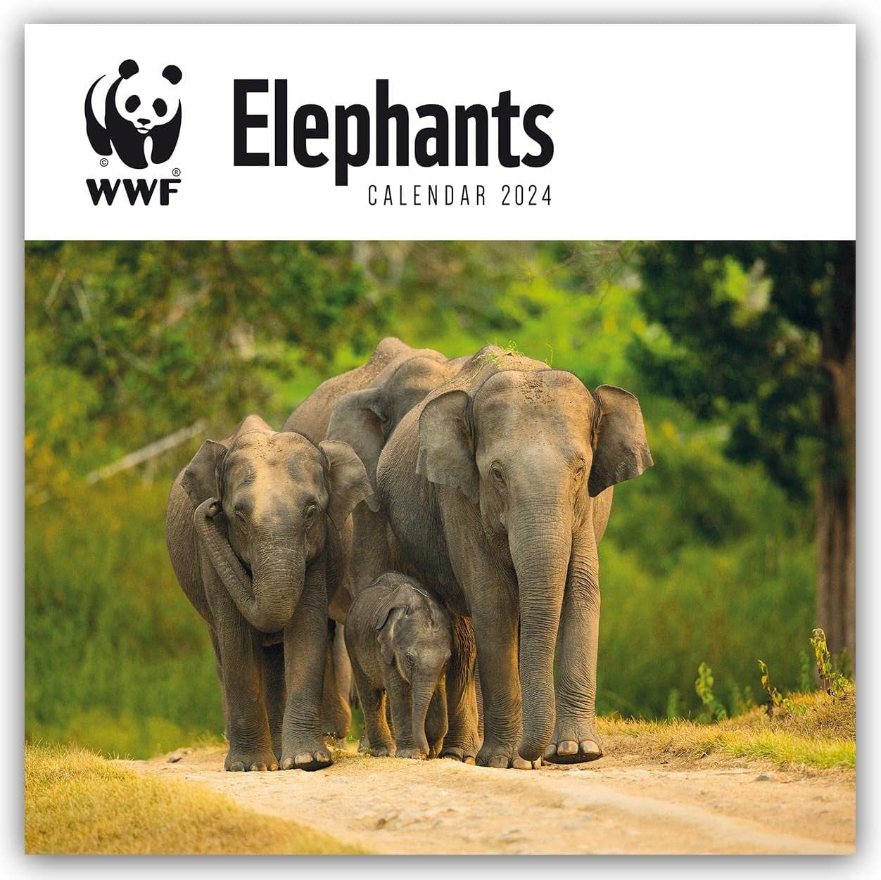WWF Elephants Elefanten 2025 al CarouselKalender [Mehrsprachig