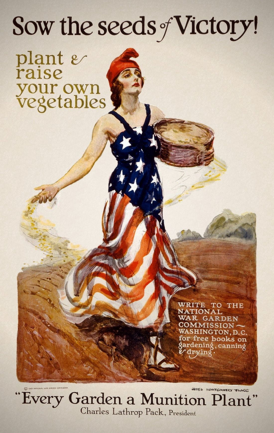 WWI Sow The Seeds Of Victory Plant & Raise Your Own Vegetables  James M Canvas Art -  (18 x 24)
