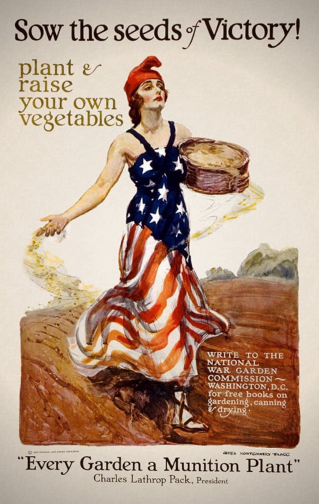 WWI Sow The Seeds Of Victory Plant & Raise Your Own Vegetables James M Canvas Art - (24 x 36)