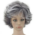 thumbnail image 1 of WXLCISI Human Hair Wig Grey Wig Full Woman Curly Fashion Synthetic Hair Short Natural Wig, 1 of 5