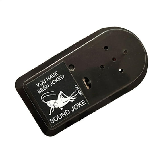 WXLCISI Prank Noise Maker - Hidden Annoying Sounds for Fool’s Day Jokes - Fun for Kids & Adults