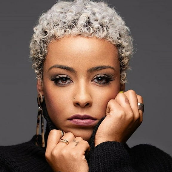 WXLCISI Short Hair Wigs for Black Women Cuts Wigs for Black Women Ladies Wigs Women's Short Curly Wig Head Circumference 22 Inch Grey