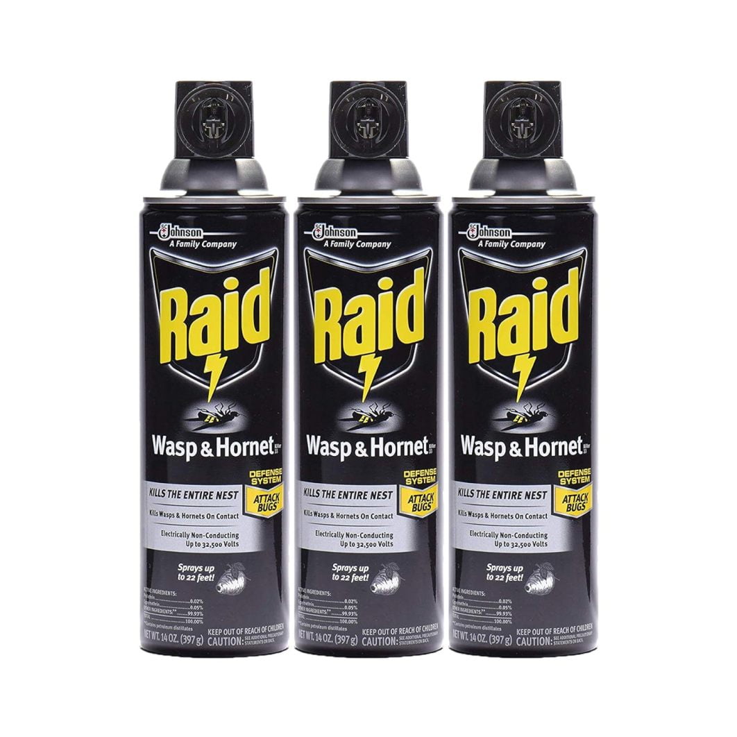 WXWP Wasp Hornet Killer Spray (14 Ounce (Pack of 3))