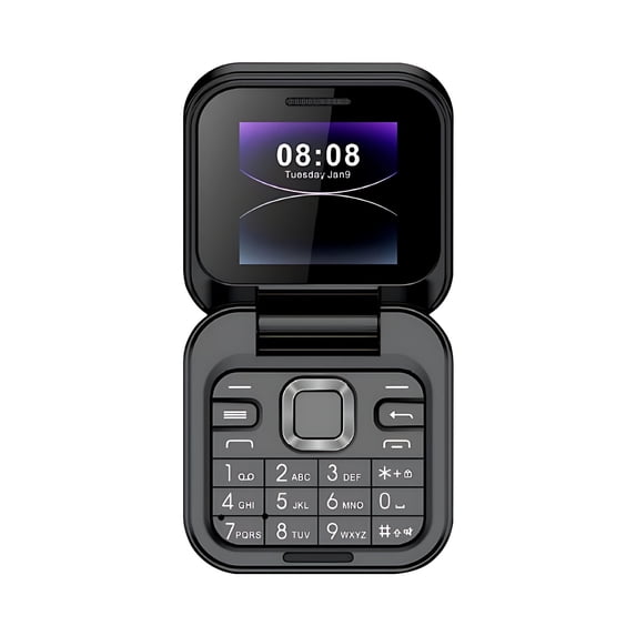 WYBXZ 2024 New Mini Flip Mobile Phone, 2 SIM Card Small Display Foldable Cell Phone, Unlocked Flip Phone 2G Flip Cell Phone for Seniors(Black)