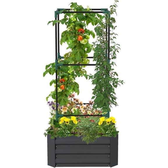 WYDK Galvanized Raised Garden Bed, 55" Tall Outdoor Planter Box with Trellis Tomato Cage and Open Bottom for Climbing Vines, Vegetables, Flowers in Backyard, Garden, Patio, Dark Gray