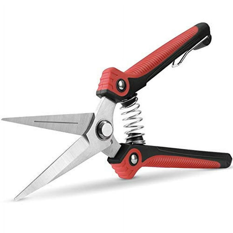 https://i5.walmartimages.com/seo/WYF-Pruning-Scissors-Professional-Garden-Shears-Straight-Stainless-Steel-Blades-Sharp-Gardening-Hand-Pruner-Harvesting-Fruits-Vegetables-Trimming-Flo_85f2aaf3-7911-40d7-8d76-83c358a73b19.5868acf0b1e1cd62eebeb3b010cc57cd.jpeg?odnHeight=768&odnWidth=768&odnBg=FFFFFF