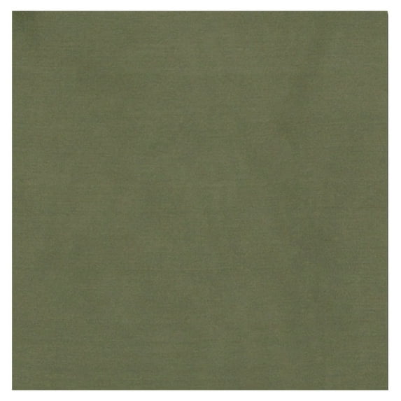 WYOMING TRADERS Solid Sage Extra Large 42"x42" Silk Scarf (SXS)