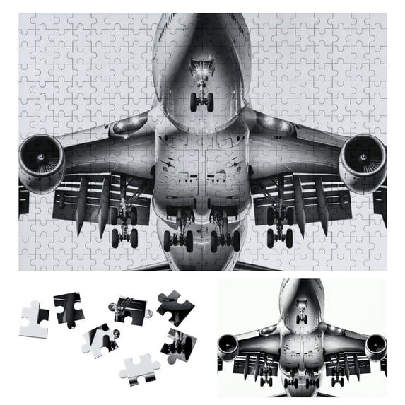 WYYP Commercial Airliner Wooden Puzzle - Impossible Wooden Puzzles - Gift for Family Friends 300 PCS
