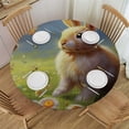 thumbnail image 1 of WYYP Easter Bunny Rabbit Round Fitted Tablecloth Easter Gold Round Table Cover with Elastic Edge Waterproof Wipeable Polyester Circle Table Cloths for Party Patio Holiday Decor White, 1 of 7