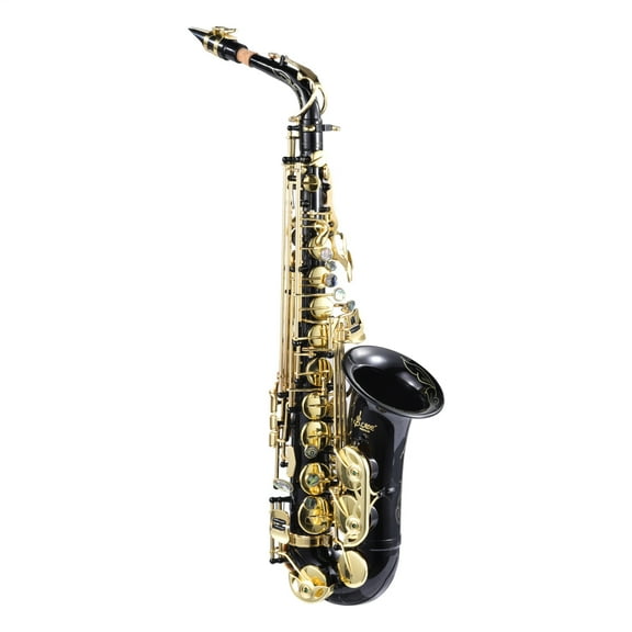WZTO Alto Saxophone E Flat Golden Alto Saxophone Professional Sound Saxophone Instrument with Case Leather Pads Adjustable Strap for Beginners popular