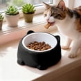 thumbnail image 1 of WZXPWT Cats Food Bowl, Large Capacity Pet Food Dish with Cute Design, Elevated Cat Feeding Bowl for Comfortable Dining, Wide and Shallow Cat Water Bowl to Prevent Whisker Stress, 1 of 6