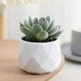 thumbnail image 1 of WZXPWT Mini Artificial Plant, Fake Plants in Plastic Pots for Indoor Office Home Decor (1 PCS), 1 of 6