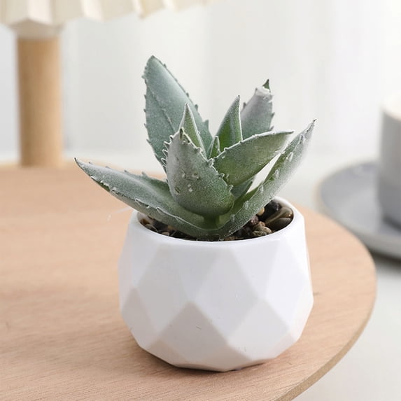 WZXPWT Mini Artificial Succulent, Faux Succulent Plants in Plastic Pots, Decorative Fake Plants for Indoor Office Decor, Stylish Faux Greenery for Home Gifts