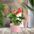 thumbnail image 1 of WZXPWT Plastic High Heel Flowerpot, Stylish Desktop Planter with Unique Design, Creative Garden Container for Home Décor, Versatile Outdoor and Indoor Plant Holder, 1 of 7