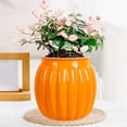 thumbnail image 1 of WZXPWT Transparent Hydroponic Plant Pot, Clear Plastic Flower Container for Indoor Decoration, Elegant Water-Storage Vase for Greenery, Stylish Hydroponic Potted Plant Holder, 1 of 6