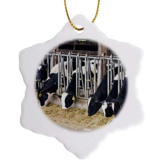 3drose, Wa, Ebeys Landing Reserve, Whidbey Island Dairy Cows - Us48 Tdr0743 - Trish Drury, 3 inch Snowflake Porcelain Ornament