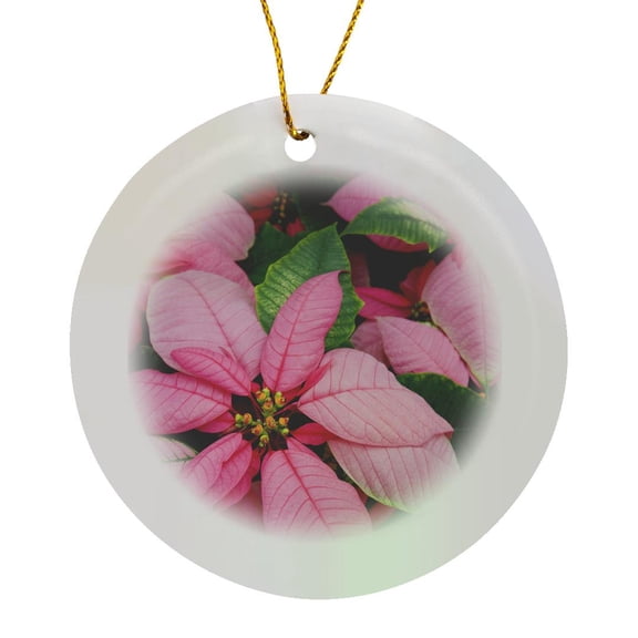 3drose, Wa, Molbaks Nursery, Poinsettia Flower Festival - Us48 Jwi3484 - Jamie and Judy Wild, Circle Porcelain Ornament