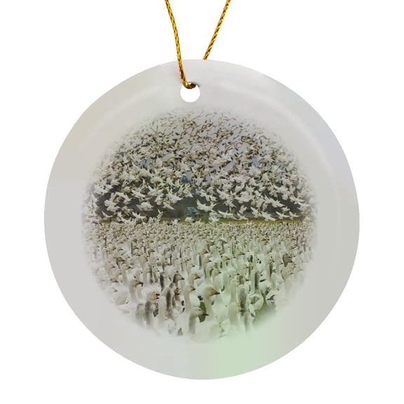 3drose, Wa, Skagit River Delta, Fir Island. Snow Geese Birds - Us48 Tdr0728 - Trish Drury, Circle Porcelain Ornament