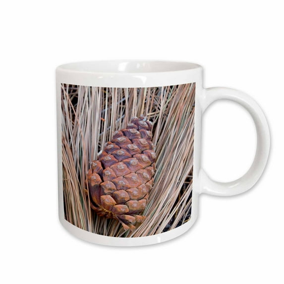3drose, Wa, Wenatchee National Forest, Ponderosa Pine - Us48 Jwi1788 - Jamie and Judy Wild, 15oz Mug