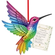 WaaHome 4"x4.5" Metal 3D Rainbow Hummingbird Ornament, Pack of 1 - 2026 Christmas Souvenir for Xmas Tree & Bird Lovers Decor