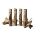 thumbnail image 1 of Wabash Valley Farms 42535 4 Piece Farm Fresh Popcorn Tube Set, 1 of 1