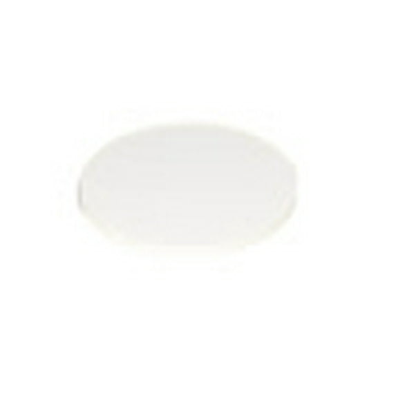 WAC Lighting LENS-25-FR Lens for 18W LED Fixture in Frosted,