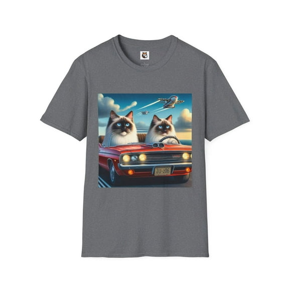 Wacky Birman Domestic Cat