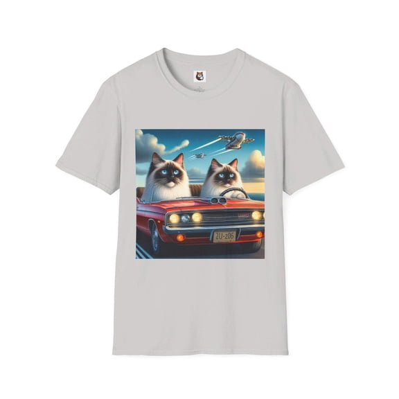 Wacky Birman Domestic Cat