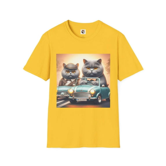 Wacky British Shorthair Domestic Cat