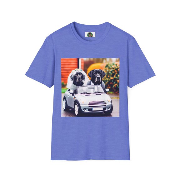 Wacky Labrador Retrievers