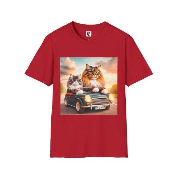 Wacky Norwegian Forest Cat