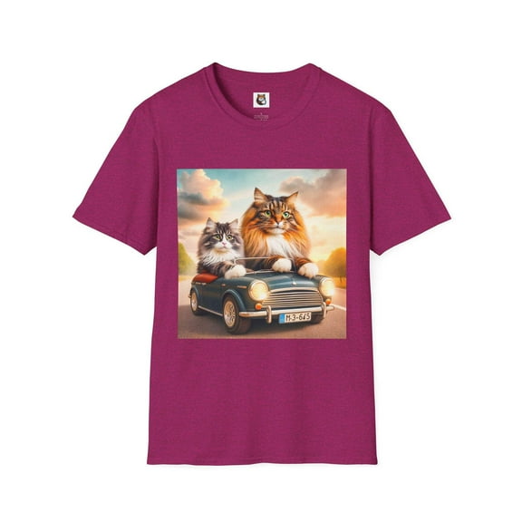 Wacky Norwegian Forest Cat