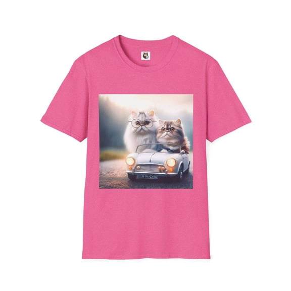 Wacky Persian Cat