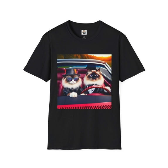 Wacky Ragdoll Cat