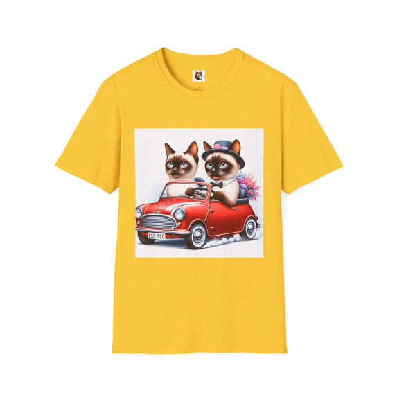 Wacky Siamese Cat