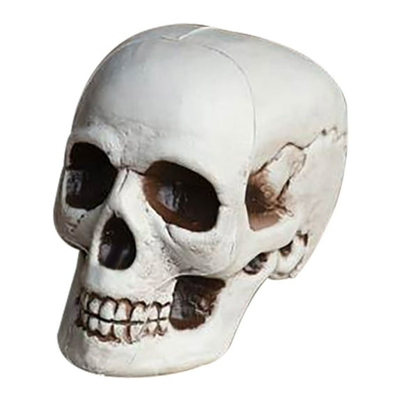 Wadada Skull Head Halloween Decor, Realistic Life-Size Skeleton Skull Halloween and Day of The Dead Decoration, Scary Human Skull Replicas Skeleton Decor, Head Skulls Decor (7.8 Inch)
