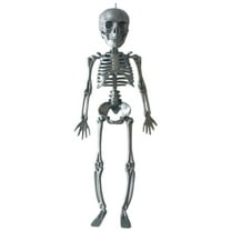 Wadada Posable Halloween Skeleton,Full Body Skeleton Decoration Movable Posable Joints Mini Skeletons, Scary Plastic Skeleton Halloween Skull Decor for Yard Garden Lawn Haunted House Graveyard Props