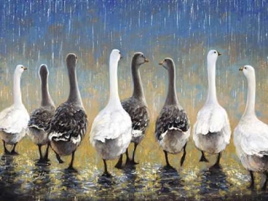 Waddling In The Rain Canvas Art - Sambataro (18 x 24)